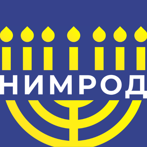 логотип НИМРОД 5137746101983
