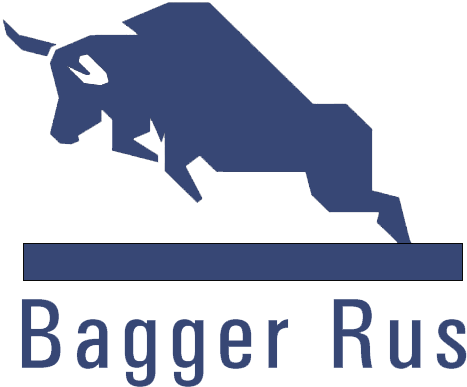 логотип ООО «БАГГЕР РУС» 1213700002933