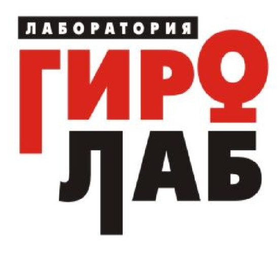 логотип ООО «ГИРОЛАБ» 1115904003093