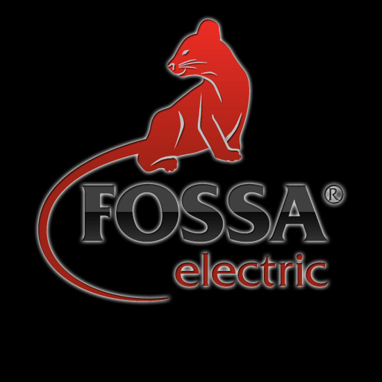 логотип ООО «ФОССА» 1147847064320