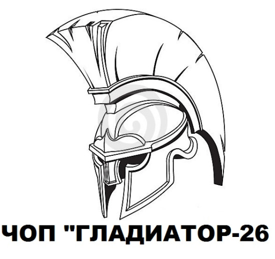логотип ООО ЧОП «Гладиатор-26» 1082635006860