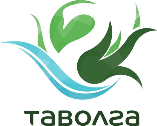 логотип ООО «ТАВОЛГА» 1155262016106
