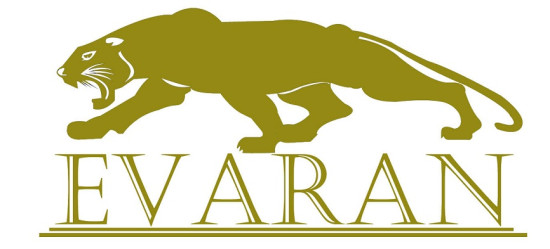 логотип ООО «ЕВАРАН» 1194027003752