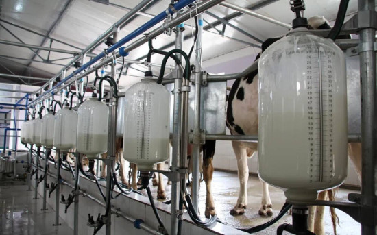Контроль качества молочного сырья и продукции в модуле 1С:Молокозавод