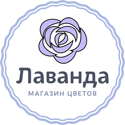 логотип Шереметьев Юрий Дмитриевич 309784714000550