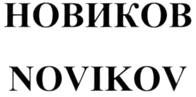 Novikov group