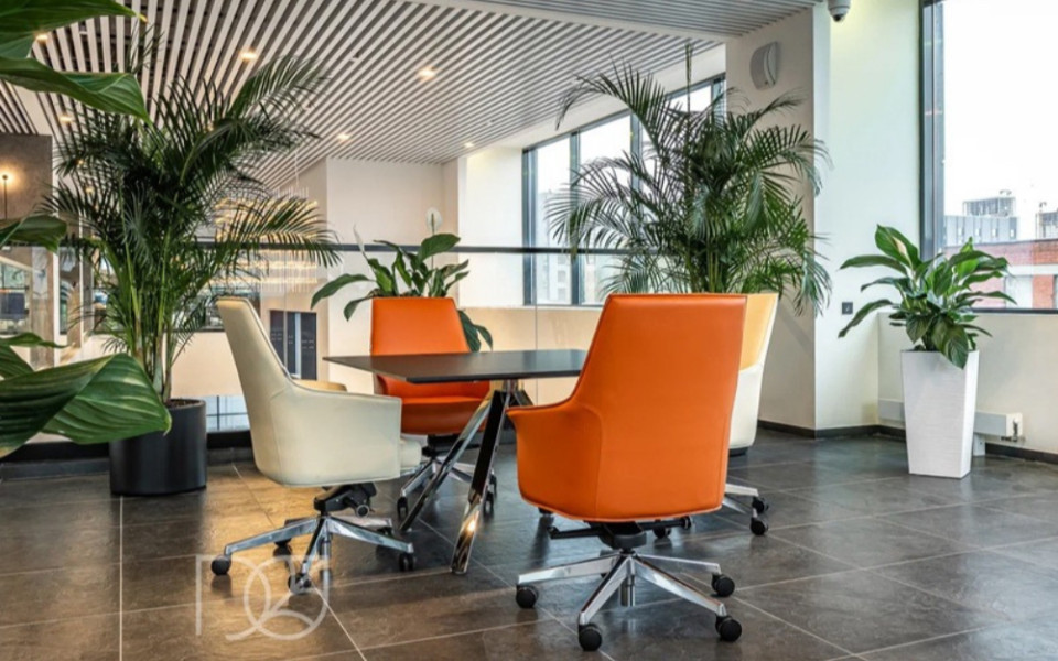 Как правильно сделать озеленение офиса | РБК Компании