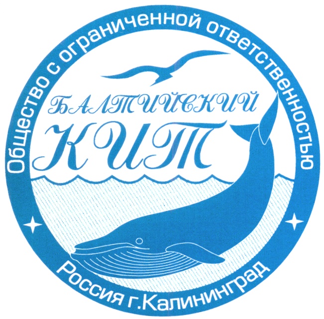 Калининградский зоопарк морской котик. Тц рико октябрьский адрес. Кит калининград. Скульптура рыбы в калининграде. Московский проспект 229 калининград.