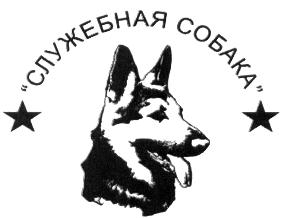 Рисунок служебной собаки