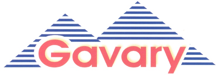 Гавари групп. Gavary Group. Компания Gavary Group. Логотип гавари групп. Gavary Group Обухово.