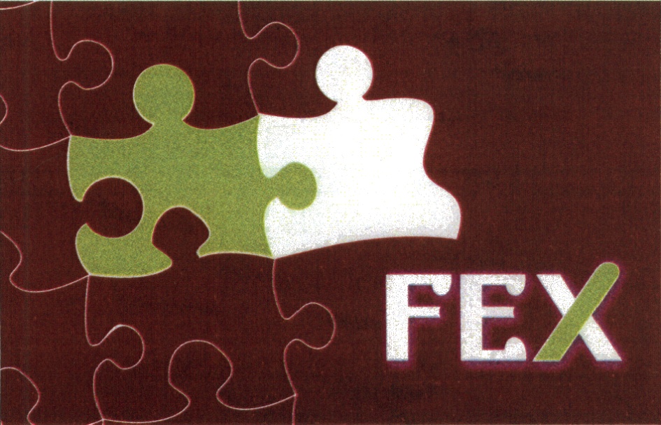 FEX. Флаг фекс. Фекс карта. FEX logo.