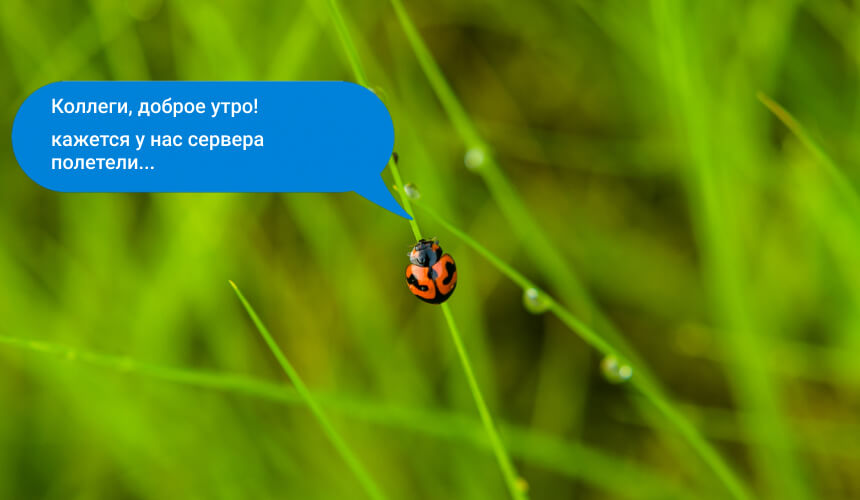 Как составить грамотный баг-репорт: советы для новичков