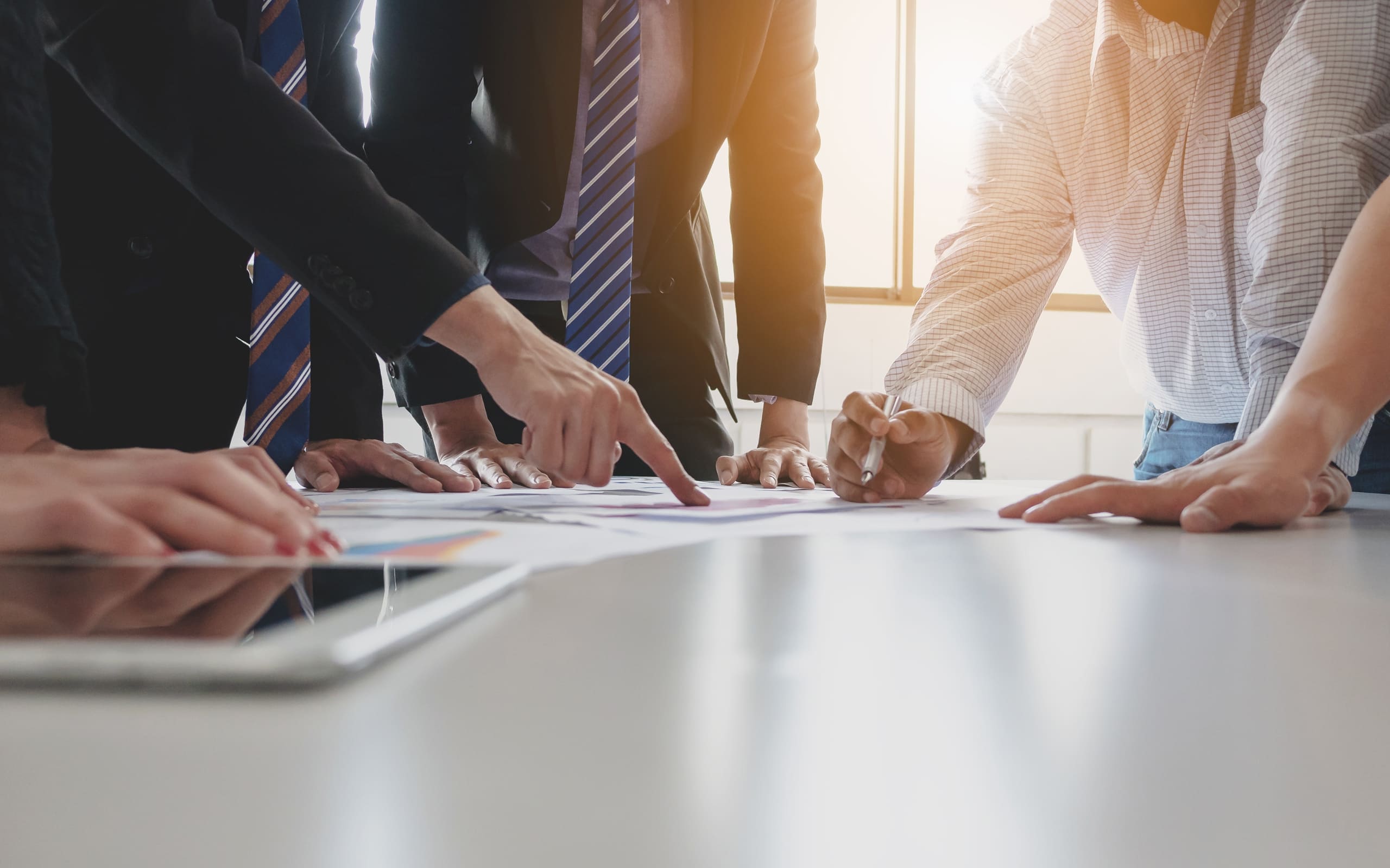 Поймать «черного лебедя»: как привить команде любовь к переменам