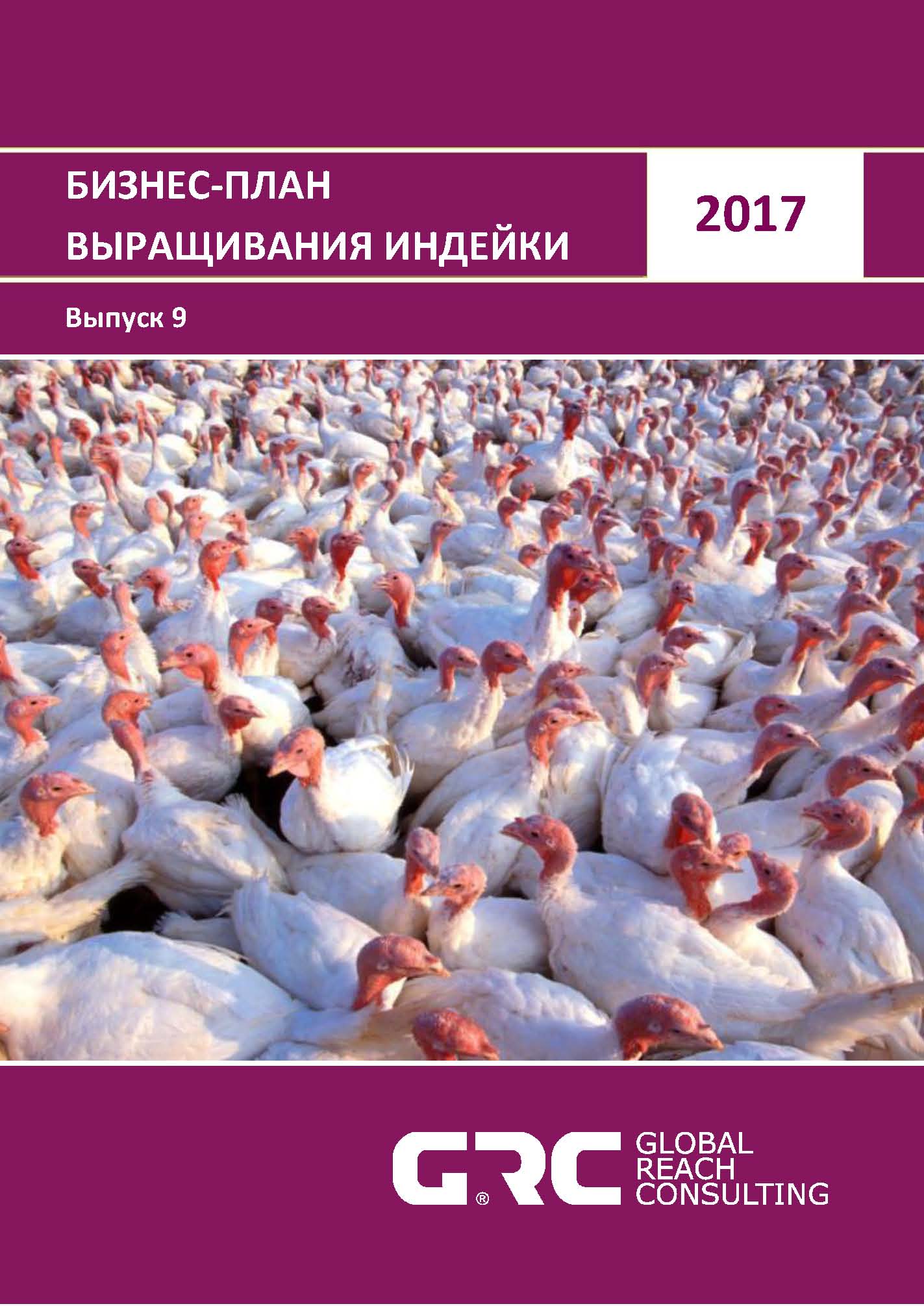 бизнес план по разведению индюшек