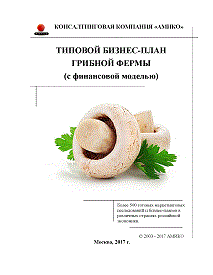 Бизнес План С Финансовой Моделью Бизнес План С Финансовой Моделью