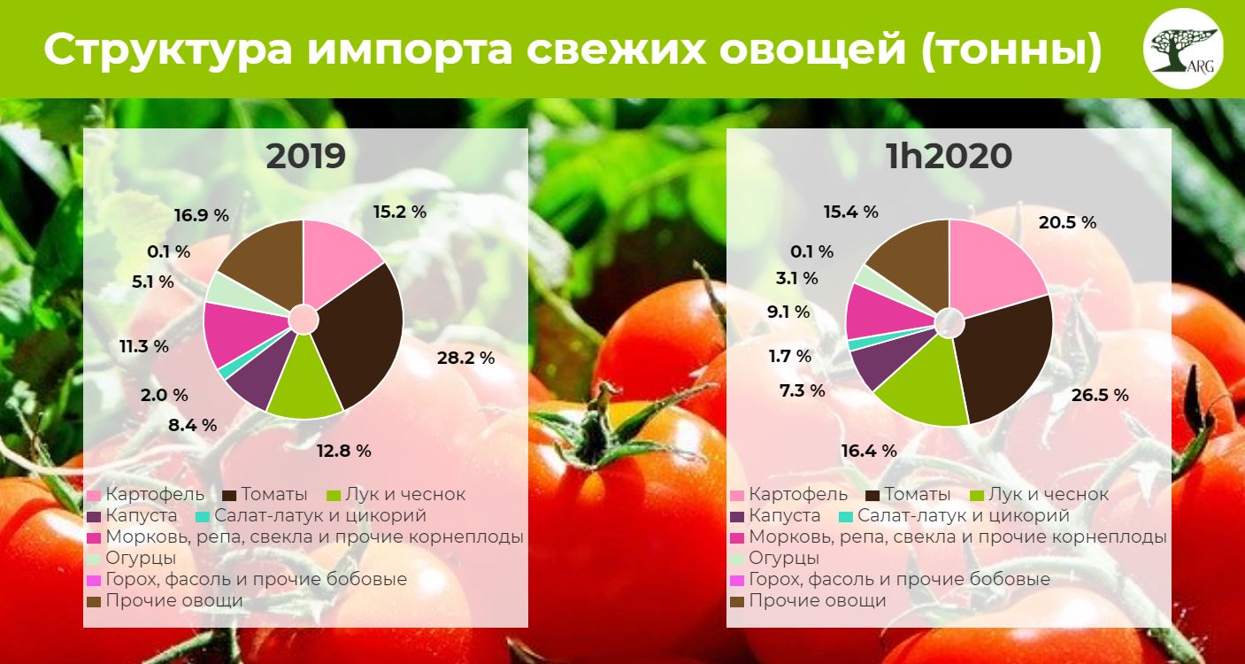 Пандемия почти не повлияла на импорт свежих овощей в Россию (-2,5% YoY в первом полугодии 2020 года)