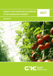 Бизнес по выращиванию овощей - бизнес-план, как начать с нуля 42 Бизнес по выращиванию овощей - бизнес-план, как начать с нуля 48