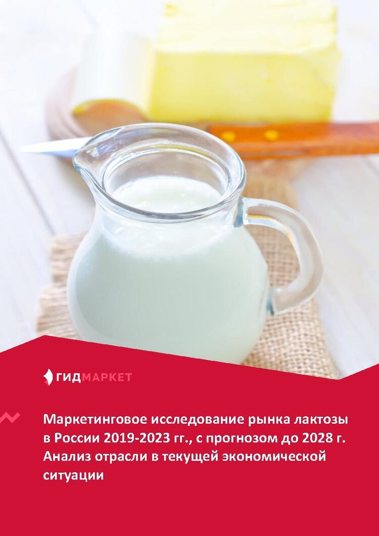 Маркетинговое исследование рынка лактозы в России 2019-2023 гг ...