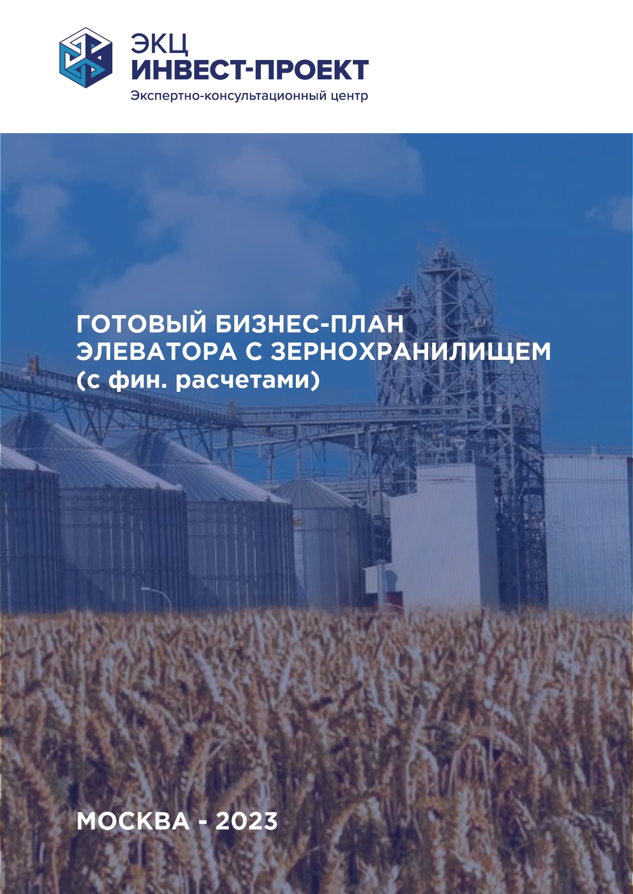 Готовый бизнес-план элеватора с зернохранилищем (с финансовой моделью ...