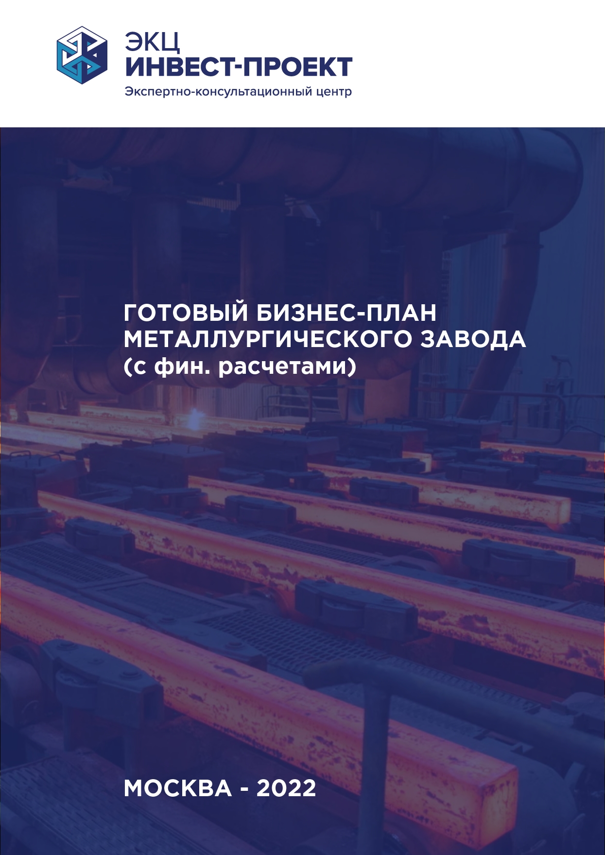 Бизнес план металлургии