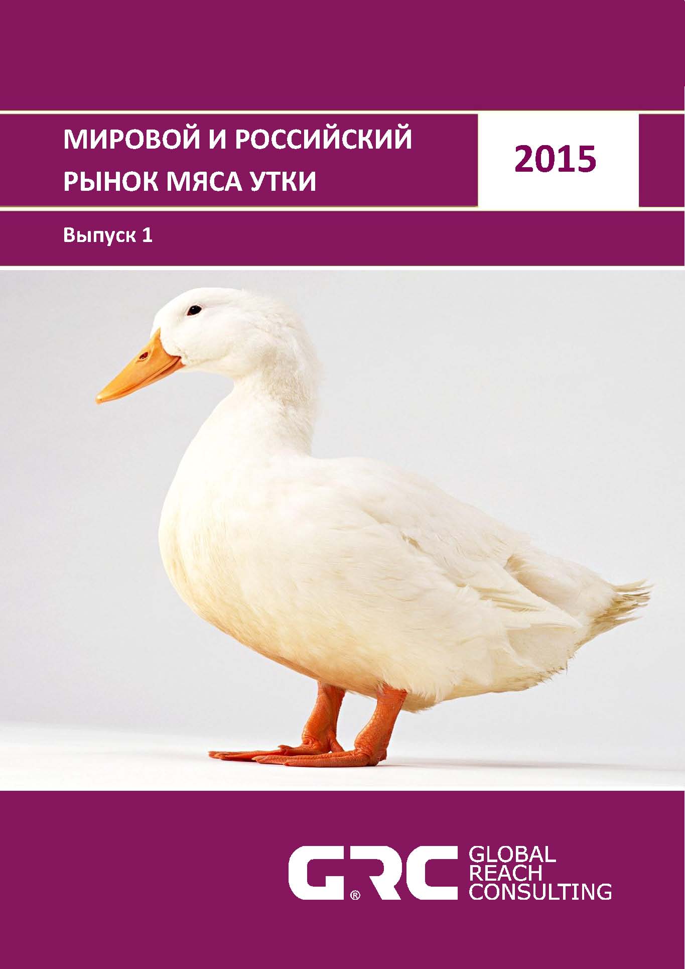 Порода уток черри велли. Индоутка черная с белым. Утка ст 5 описание породы. Крупные утки для разведения. Утка ст 5 описание породы.