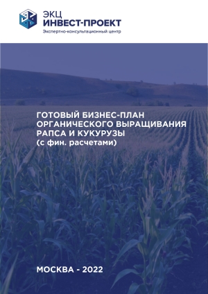 Бизнес план по выращиванию рапса