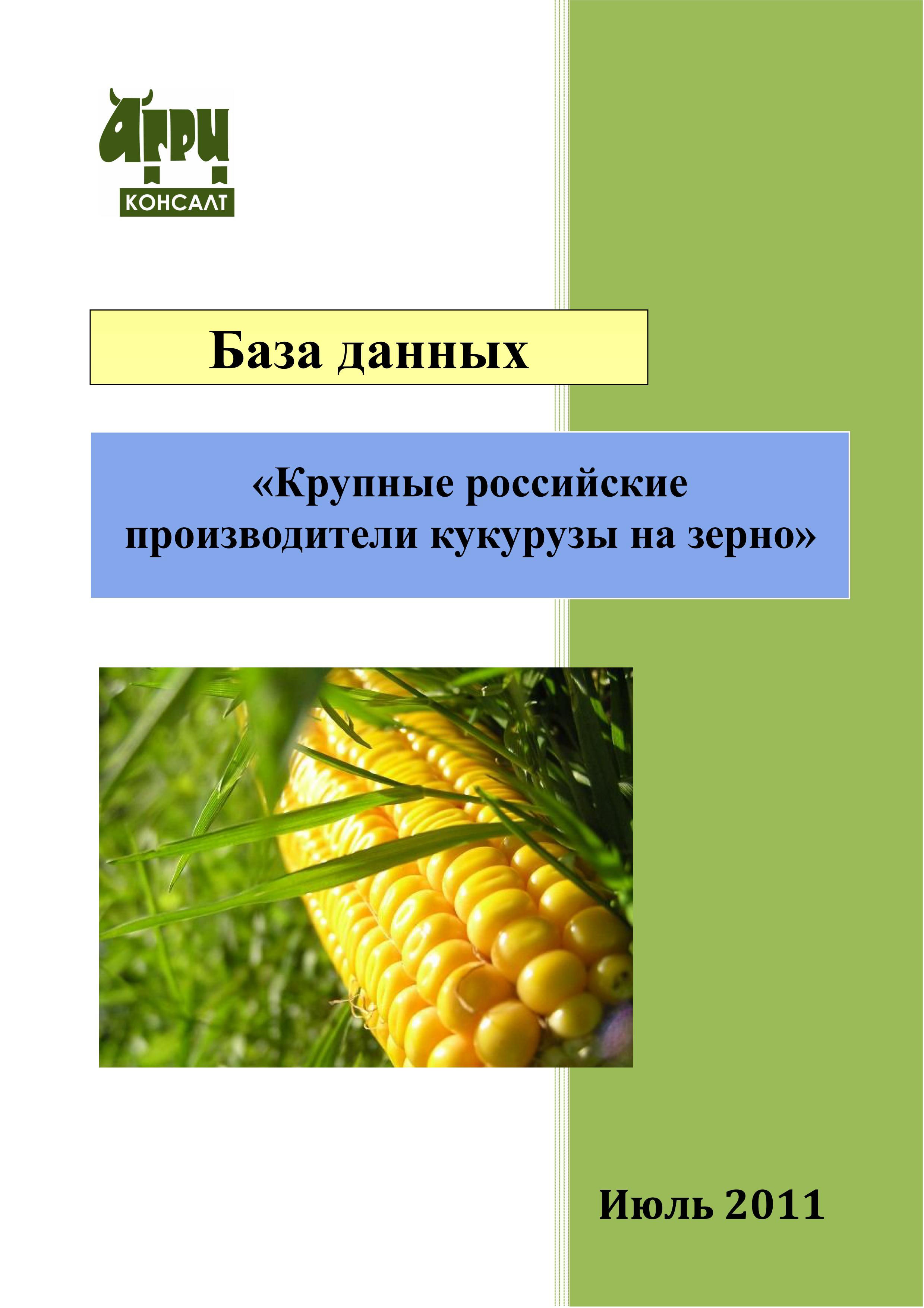 Крупные производители кукурузы. Производители кукурузы в России. Кукуруза производитель. Крупнейшие производители кукурузы